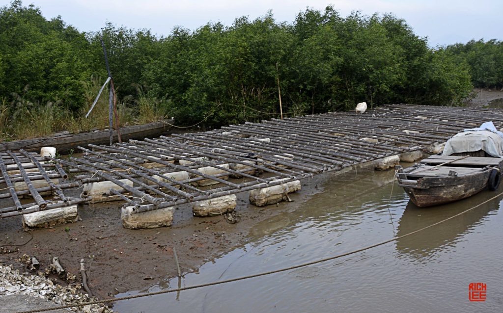 Oyster Racks | The Taishan Project